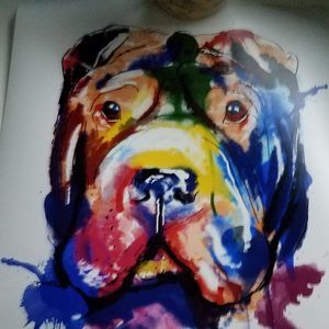 Meet your Posher, Susan